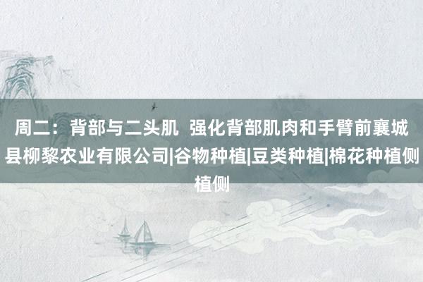 周二:背部与二头肌 强化背部肌肉和手臂前襄城县柳黎农业有限公司|谷物种植|豆类种植|棉花种植侧
